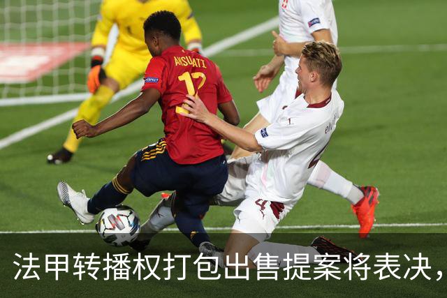 法甲转播权打包出售提案将表决，自营平台年入不足9000万欧
